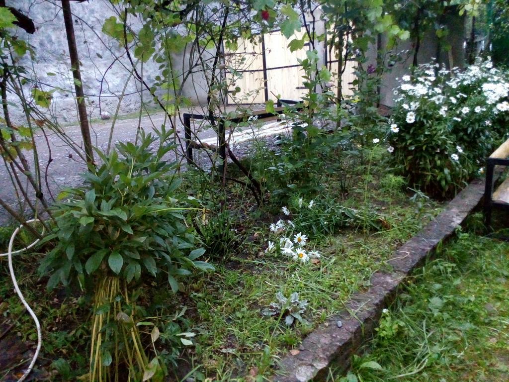 Borjomi Makvala'S Guest House Exteriér fotografie